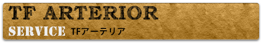 TF ARTERIOR -TFアーテリア-