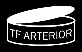 TF ARTERIOR